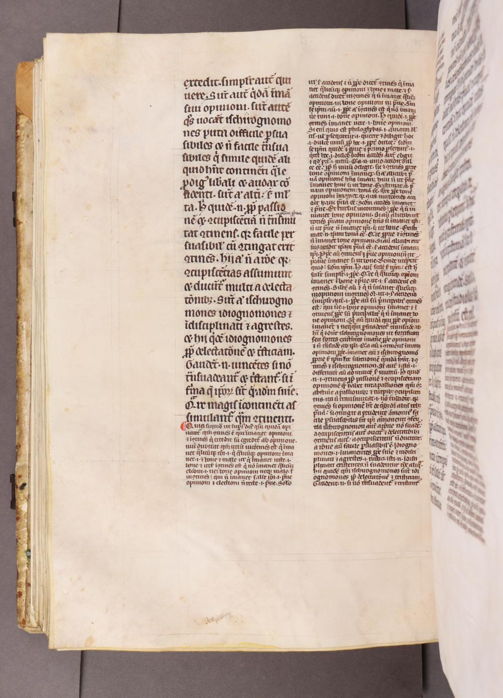 Folio 164 verso